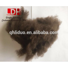 Pure100% Tibetan Yak Down Fiber com lotes toneladas em estoque